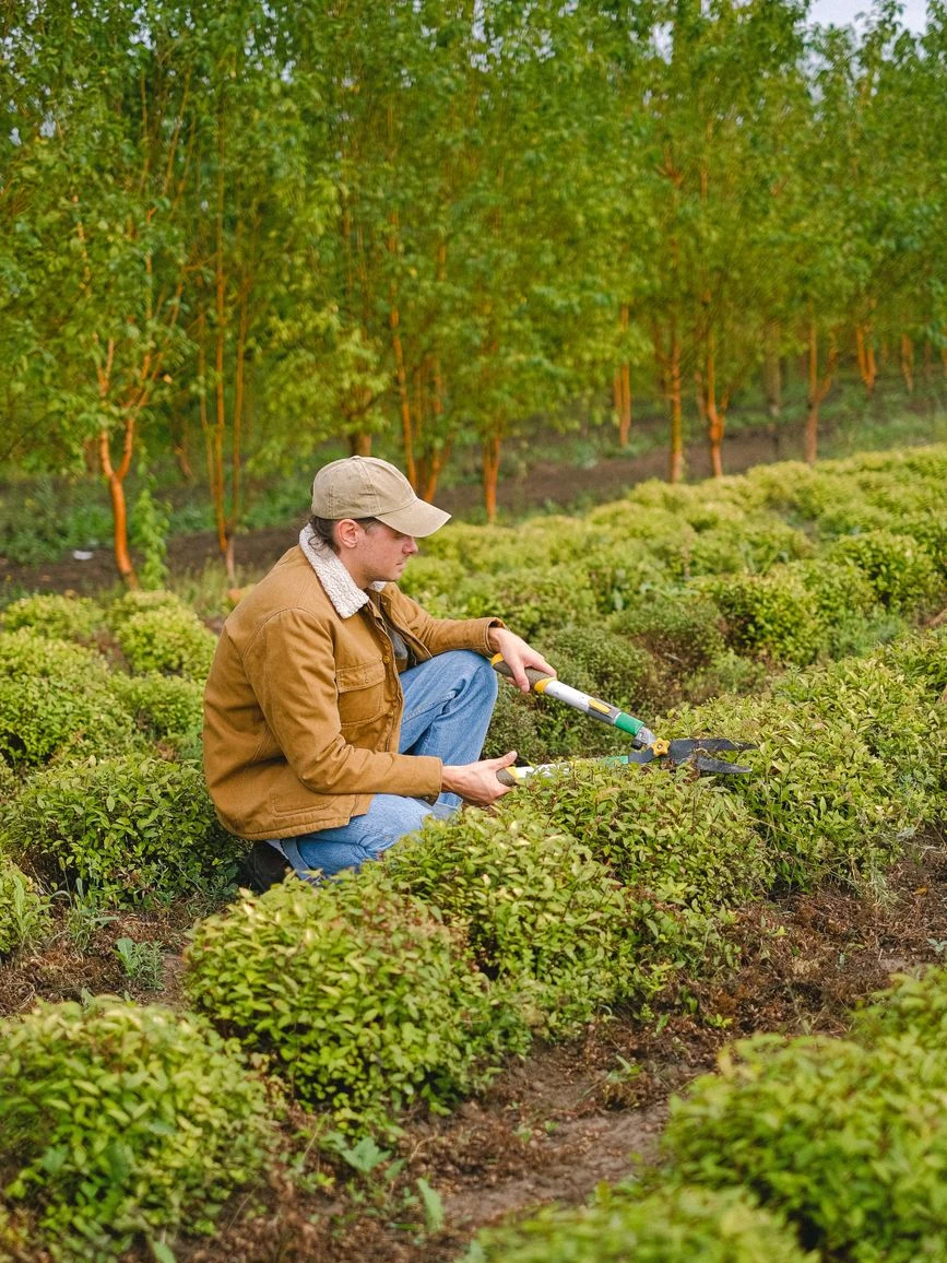 landscaping professional at Green Crew Landscaping