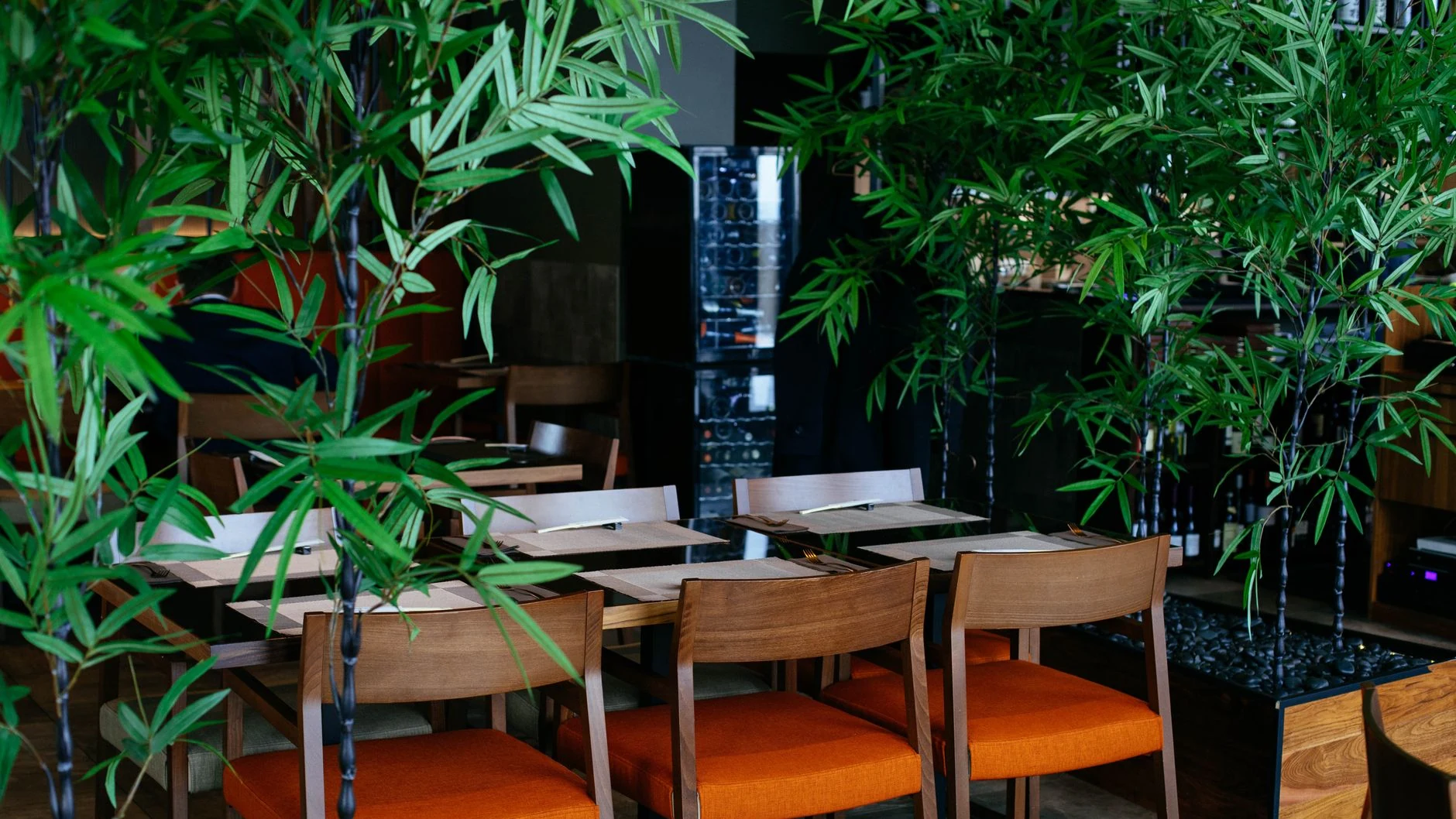Restaurant interior with bamboo plants at IL Monte Pizzéria
